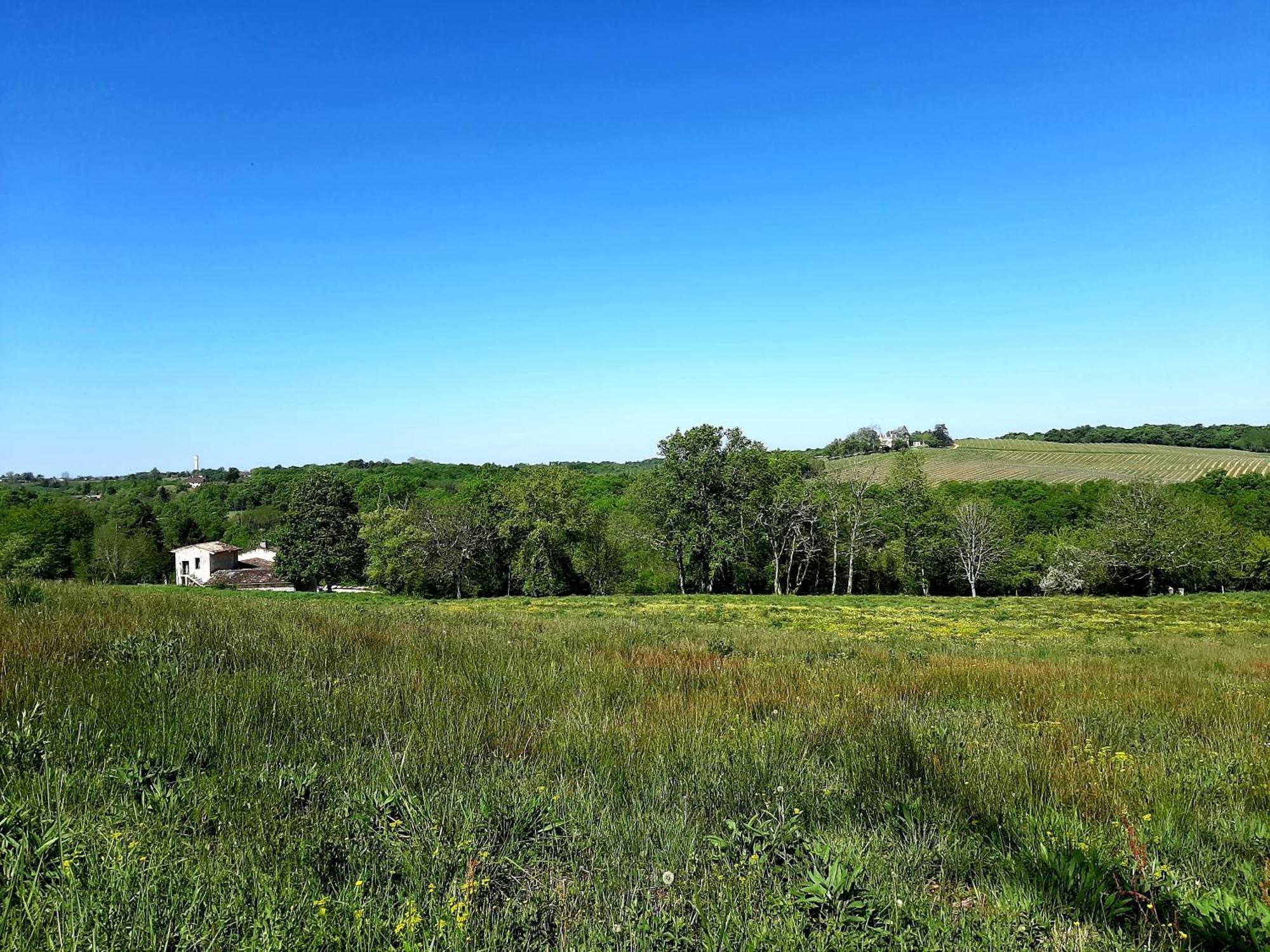 Créon Aux Tuileries Nord B&B المظهر الخارجي الصورة